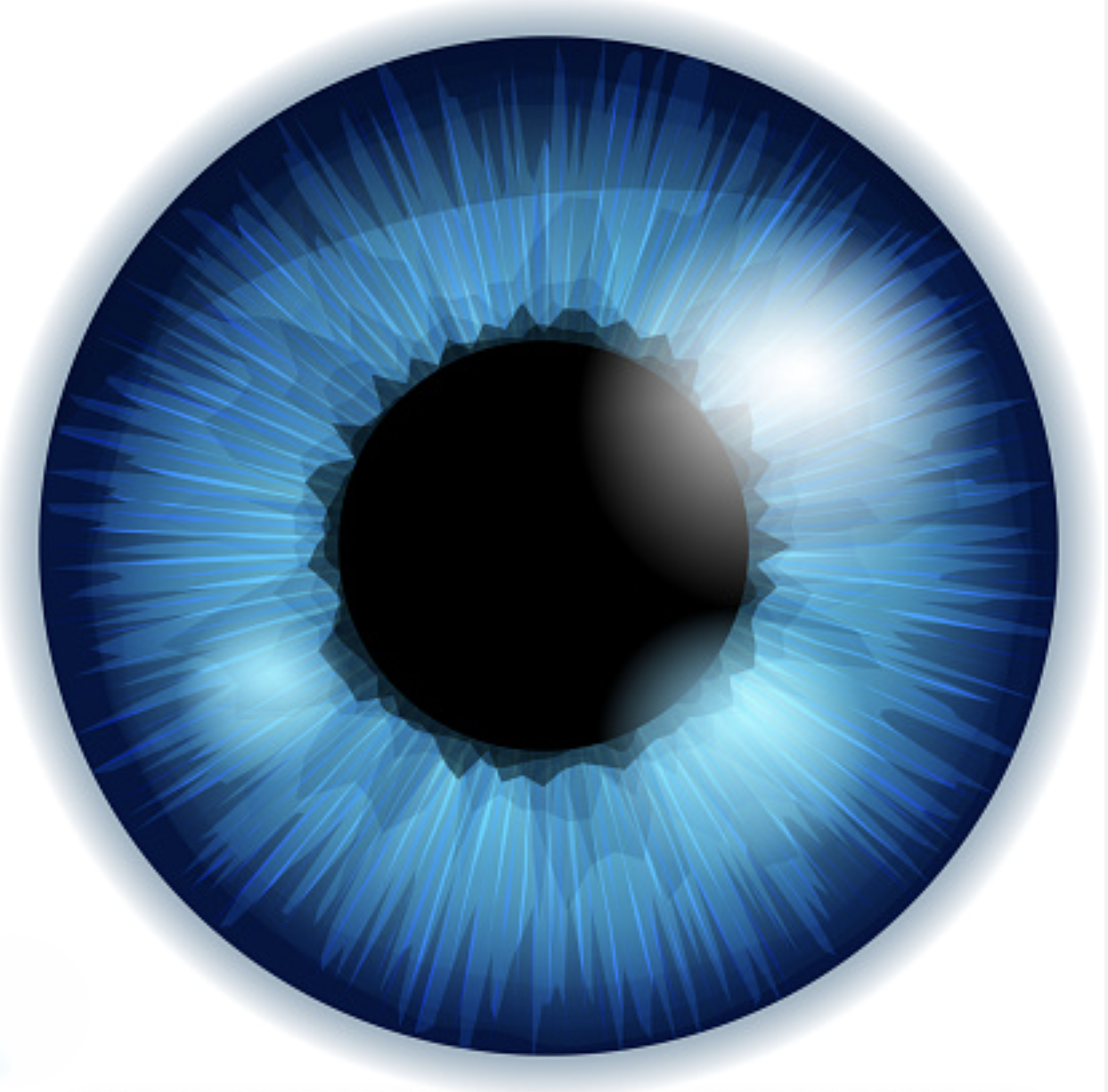 Visual Image Design eye logo